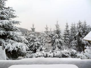 ALMNEST - LACHTAL - 6