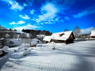 Traditional deer Cabin with Sauna - 0