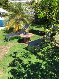 Les Frangipaniers de la Pelée - Saint-Pierre - 9