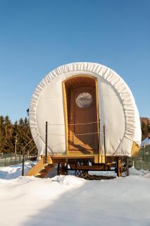 Glamping Spiritul Zimbrului - 5