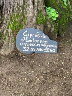 MANSIÓN DEL INDIANO - Viveiro - 2