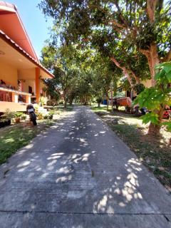 U53/37 - Ko Samui - 8