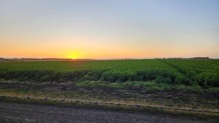 Coastal Sunset Tiny Home - Port Fairy Tiny Homes - Killarney - 4