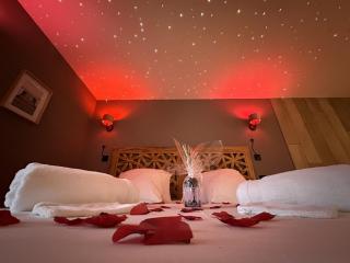 La Suite SPA privatif du Moulin - Saint-Laurent-dʼAndenay - 9