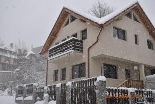 Capra cu trei iezi - Sinaia - 6