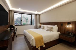 Origen 438 Luxury Boutique Hotel - Guadalajara - 6