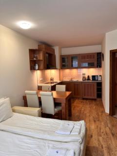 Prime location one bed apartment with hydro bath in Royal Plaza - Borovets - 8