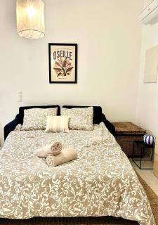 Le Chaptal • Beau T2 • CLIM • Centre Gare St Roch - 2