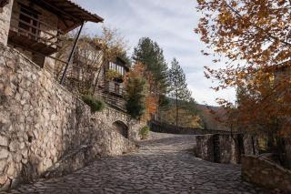 Parnassus Woodstone Chalet - Áno Polídhrosos - 3