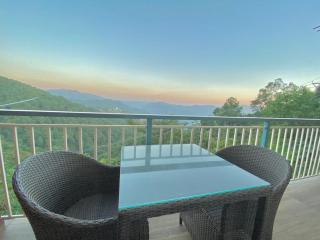 The Walnut Homestay I Kasauli I Perfect Stay - 6