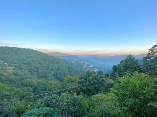 The Walnut Homestay I Kasauli I Perfect Stay - 2