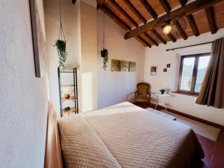 Casina del Fabbro - Montescudaio - 7