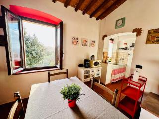 Casina del Fabbro - Montescudaio - 8