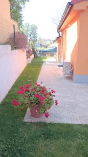 Apartment Shankini - Pula - 3