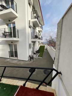 PARC PINI RESORT - Moineşti - 7