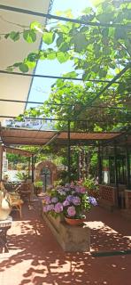 Villa dei fiori B&B - Capri - 6