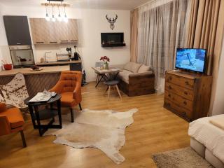 BH and Semiramida Ski Apartment - Borovets - 6