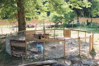 Luxe tent Coq de Marans - - 9