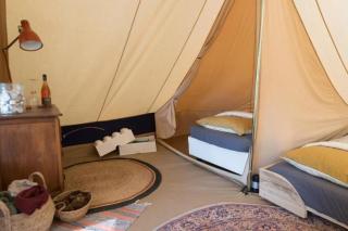 Luxe tent Coq de Marans - - 7