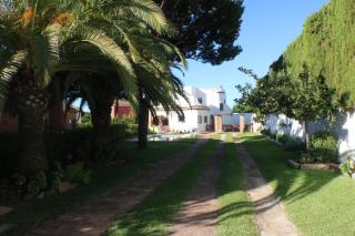 Holiday Villa in Calahonda, near Marbella - 4