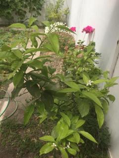 Duplex Marea Baja - 4