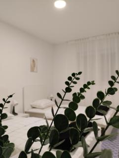 MARIJA APARTMAN - Osijek - 5