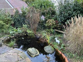 Tuinkamer Oudeschoot - Oudeschoot - 1