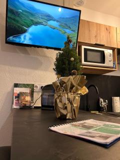 Au 15 Bis - Studio Hyper Centre - 4