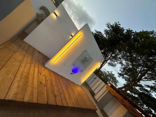 Old Crow Hotel and Suites - Vieques - 2