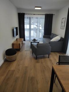Apartament 9 SzklarSki - Szklarska Poręba - 6