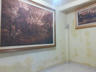 Geria bun bed & paint art gallery - 6