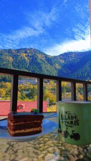 New apartments in borjomi - 4