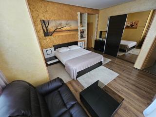 Villa Onix - Sinaia - 5