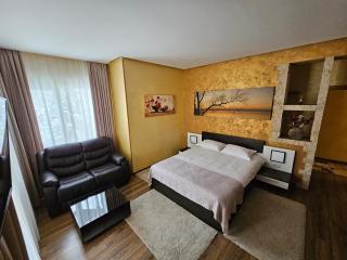 Villa Onix - Sinaia - 4