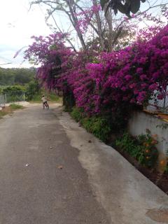 Ly's homestay - Gia Nghĩa - 8