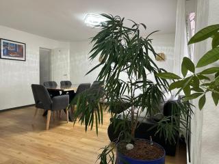 Ferienhaus in einem Wohngebiet bei Frankfurt - Nidderau - 6