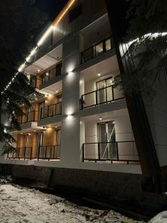 Forest Villa - Goderdzi - 6