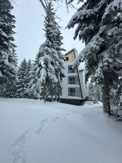 Forest Villa - Goderdzi - 2