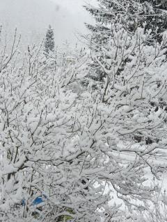 Gasthof Alte Schmiede G*** Lückendorf - 8