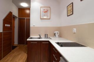 Krynica Apartamenty Apartament typu studio Deptak - Krynica Zdrój - 5