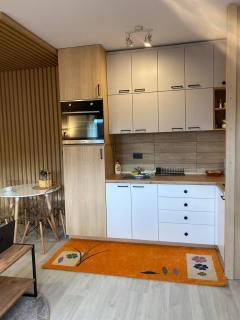 Apartman Breza - Vila Umine Vode - Zlatibor - 5
