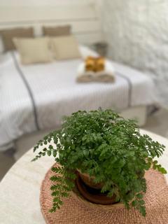 Casa Kira, Macher - Mácher - 3