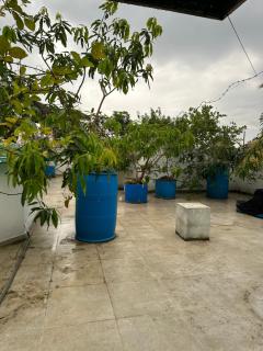 Naturus Villa Thalpitiya - Panadura - 3