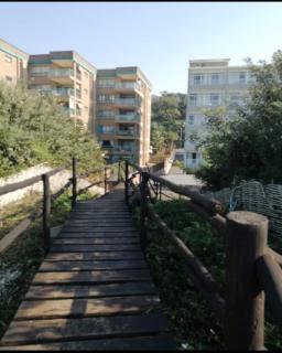 Toti Cabana 58 - 5