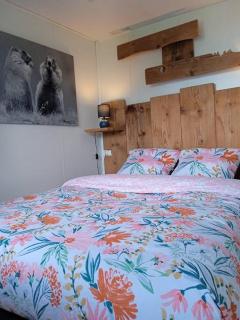 Charmante location Hauts d'Evian - 4