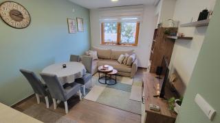 Goldview Apartmani - Zlatibor - 1