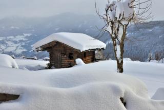 Bio Alpenhof Rostatt - Bischofshofen - 5
