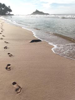Twin Trees Guest - Matara - 0