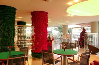 Harbor Haven Suites Single Room with Gym and Bar - Jounieh - 7