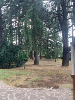 Appartamento brevi periodi "Pedrini's Welcome Home" - Bergamo - 8